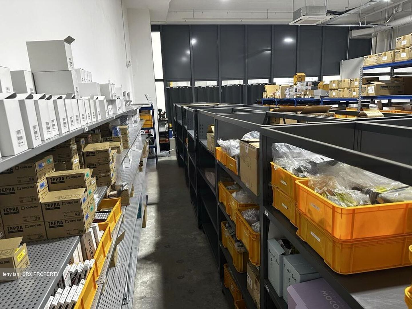 REVV (D22), Factory #462987551